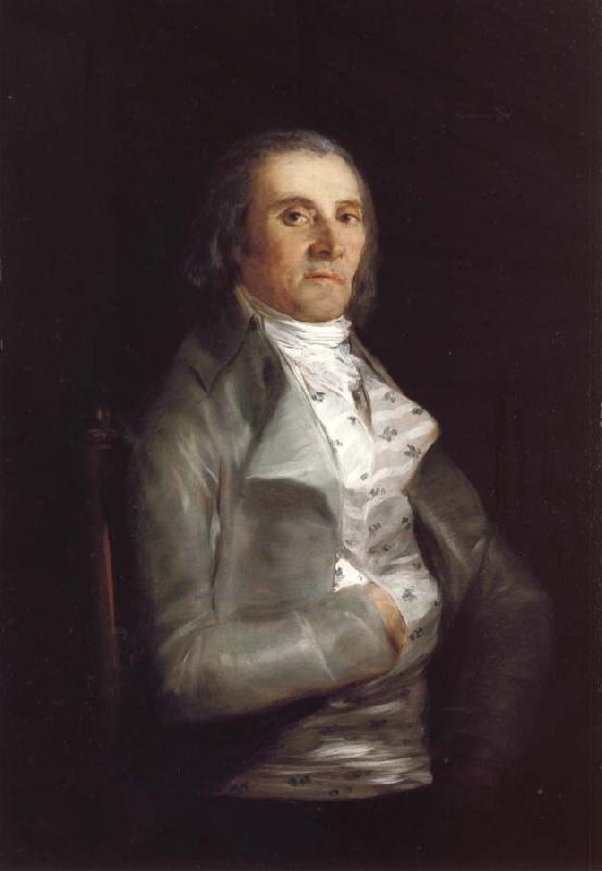 Francisco de Goya Don Andres del Peral Sweden oil painting art